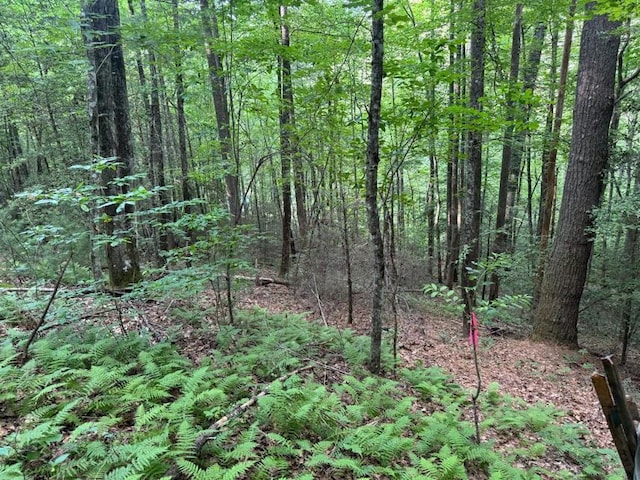 1.46ACR Ed Graves Rd, Murphy NC, 28906 land for sale