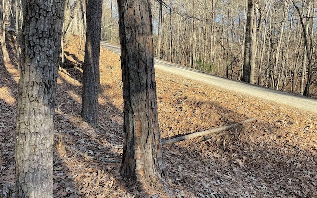 L2458 Montage Dr, Ellijay GA, 30540 land for sale