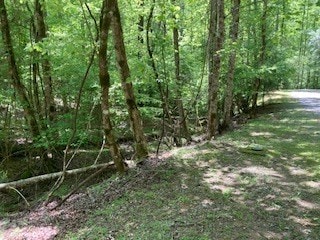 Listing photo 2 for LOT3071 Hackney Dr, Ellijay GA 30540