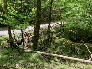 Listing photo 3 for LOT3071 Hackney Dr, Ellijay GA 30540