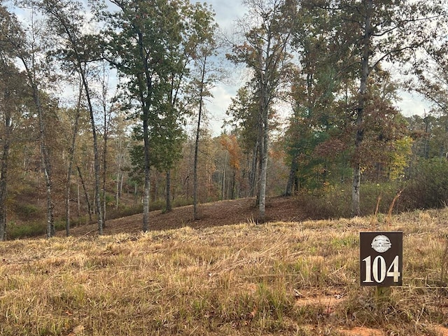 LOT104 High River Rd, Ellijay GA, 30540 land for sale