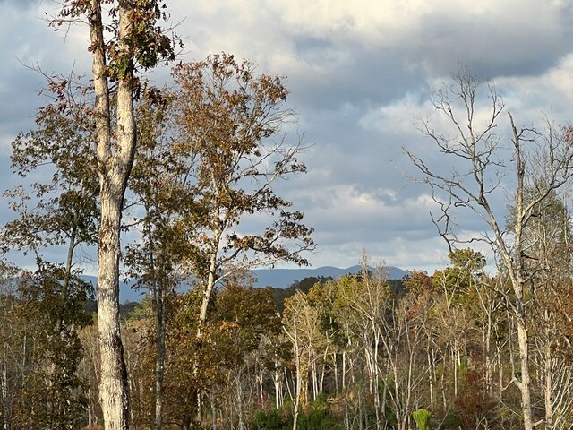 LOT104 High River Rd, Ellijay, GA 30540