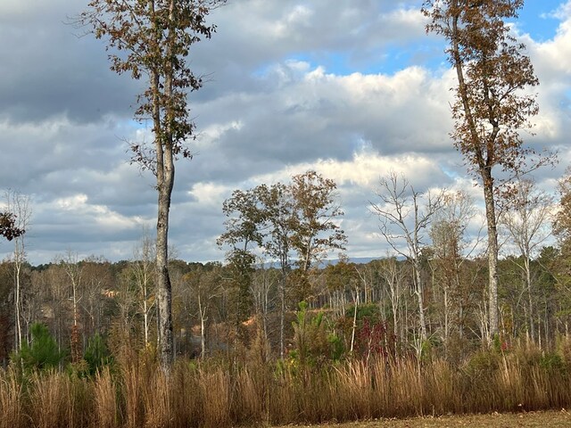LOT104 High River Rd, Ellijay, GA 30540
