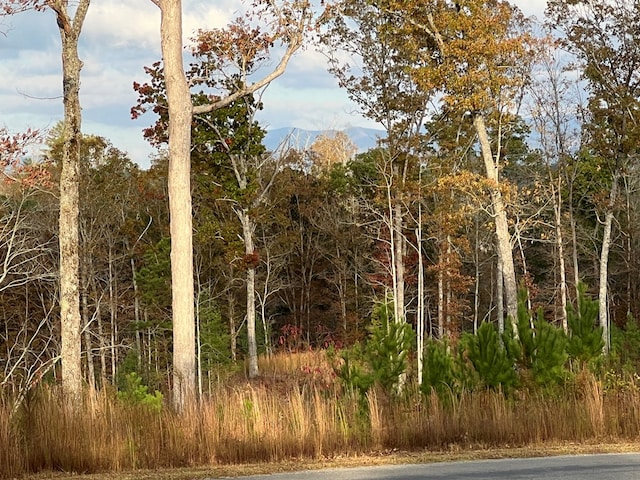 LOT104 High River Rd, Ellijay, GA 30540