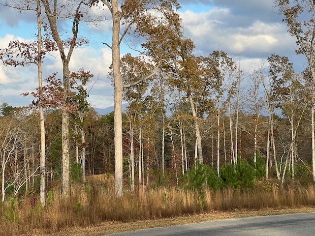 LOT104 High River Rd, Ellijay, GA 30540