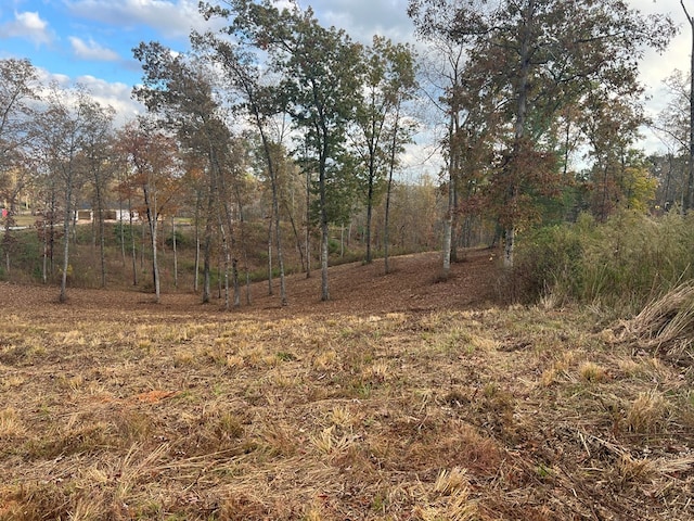 LOT104 High River Rd, Ellijay, GA 30540