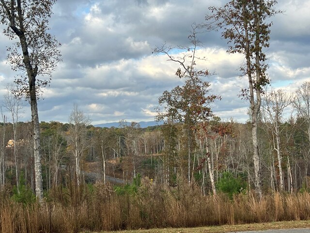LOT104 High River Rd, Ellijay, GA 30540
