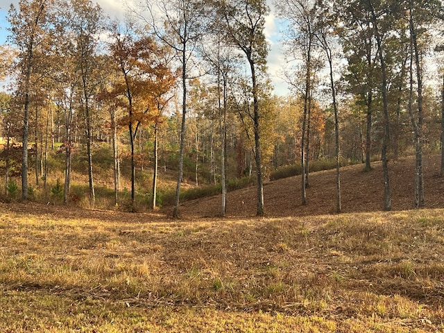 Listing photo 2 for LOT104 High River Rd, Ellijay GA 30540