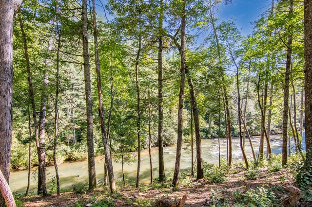 LOT104 High River Rd, Ellijay, GA 30540
