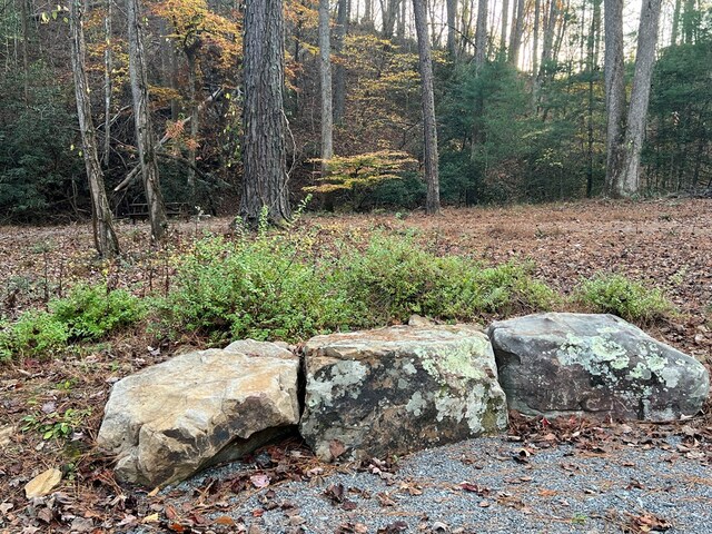 LOT104 High River Rd, Ellijay, GA 30540