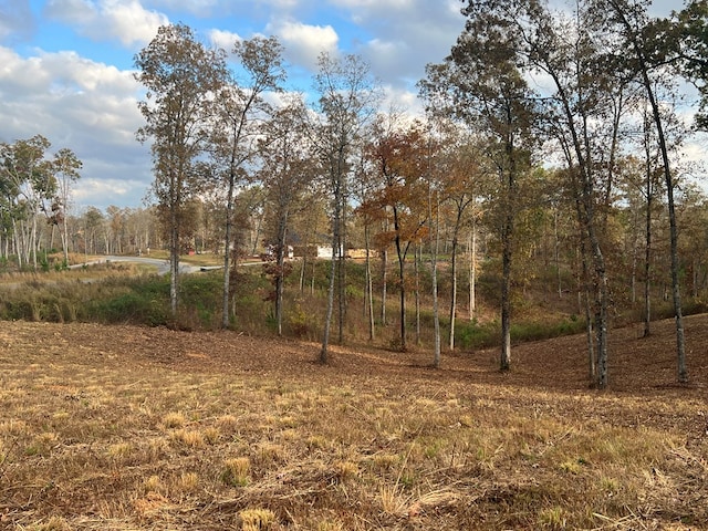 Listing photo 3 for LOT104 High River Rd, Ellijay GA 30540