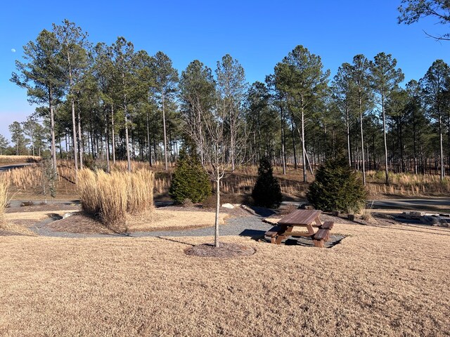 LOT104 High River Rd, Ellijay, GA 30540