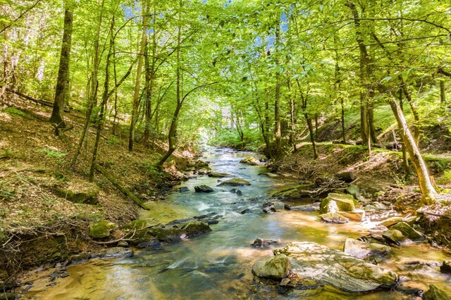 LOT104 High River Rd, Ellijay, GA 30540