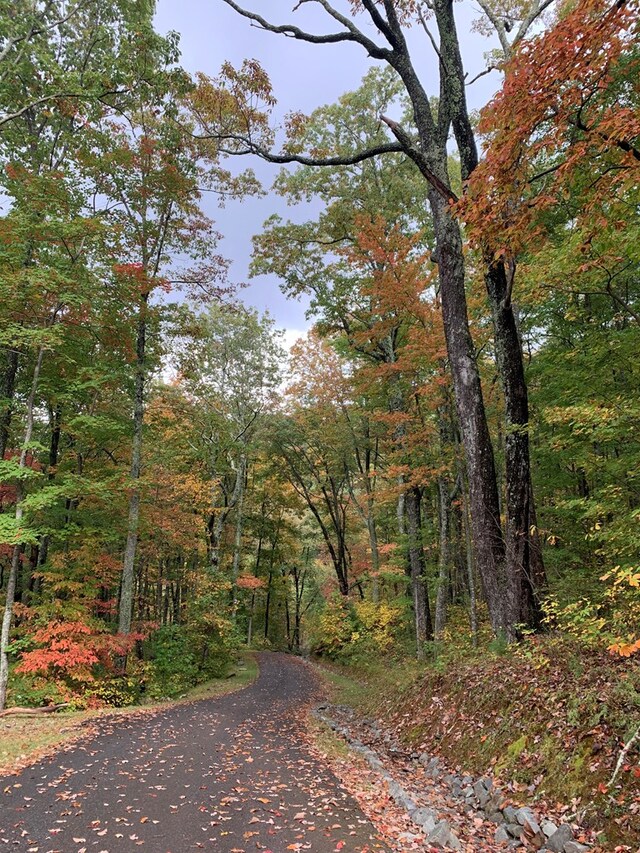 LOT104 High River Rd, Ellijay, GA 30540