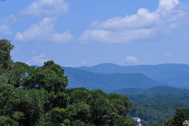 LOT104 High River Rd, Ellijay, GA 30540