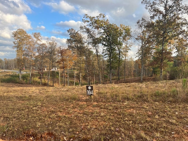 LOT104 High River Rd, Ellijay, GA 30540