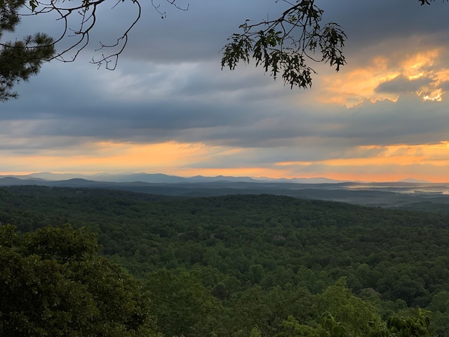 LOT104 High River Rd, Ellijay, GA 30540