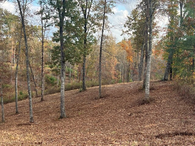 LOT104 High River Rd, Ellijay, GA 30540
