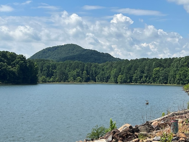 LOT104 High River Rd, Ellijay, GA 30540