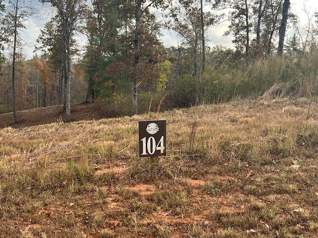 LOT104 High River Rd, Ellijay, GA 30540