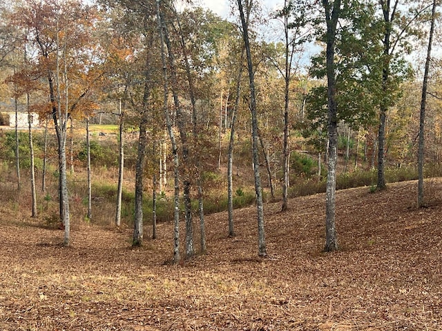 LOT104 High River Rd, Ellijay, GA 30540