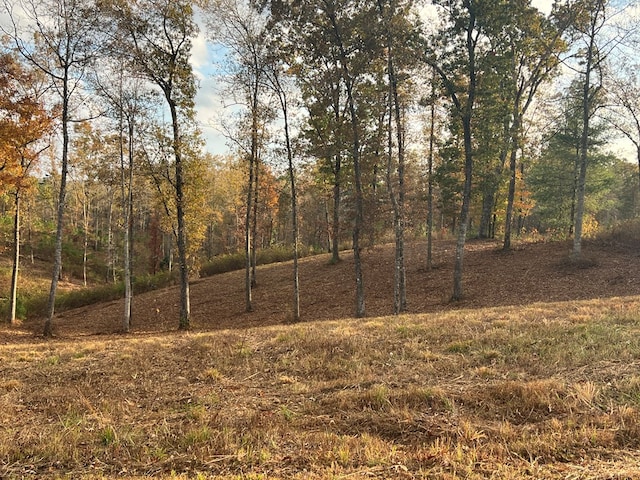 LOT104 High River Rd, Ellijay, GA 30540