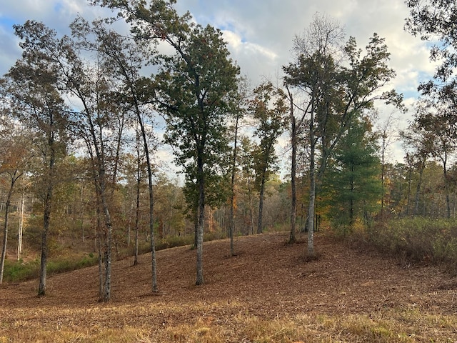 LOT104 High River Rd, Ellijay, GA 30540