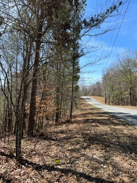 Listing photo 3 for LT4 Hunter Rdg, Ellijay GA 30540