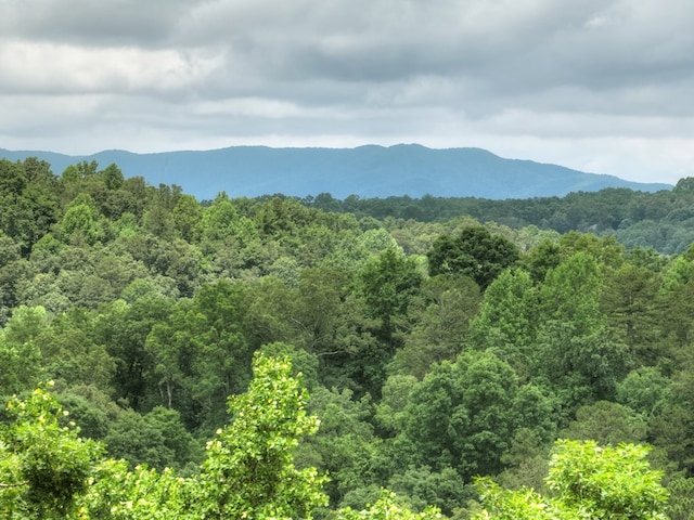897 Faraday Dr, Ellijay, GA 30540 - view of mountain backdrop with a forest