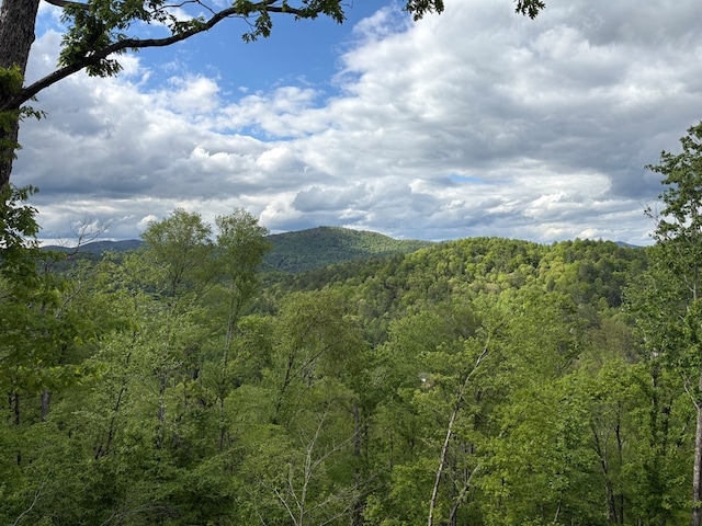 mountain view with a view of trees