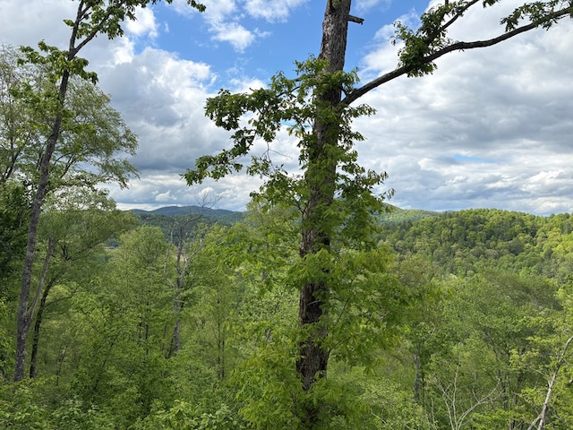mountain view featuring a view of trees