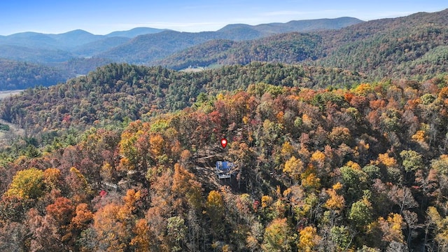 property view of mountains with a wooded view
