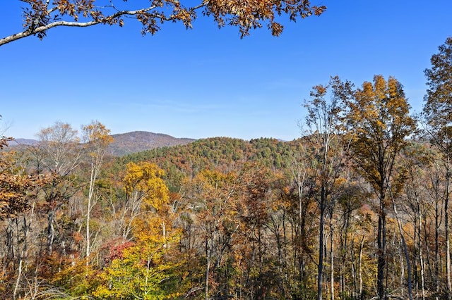 property view of mountains with a view of trees