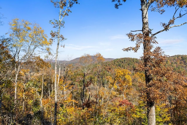 mountain view featuring a forest view