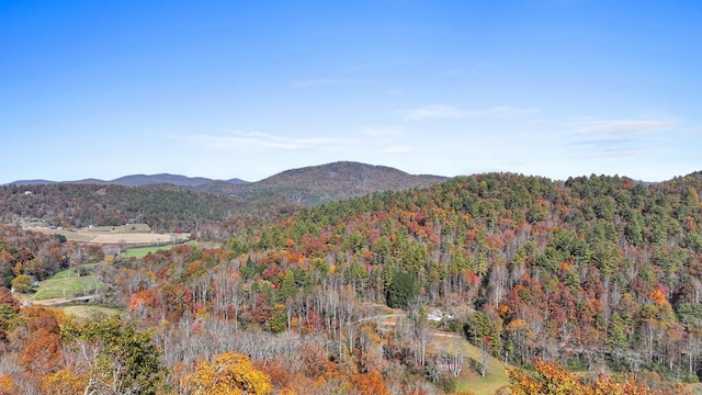 view of mountain feature featuring a view of trees