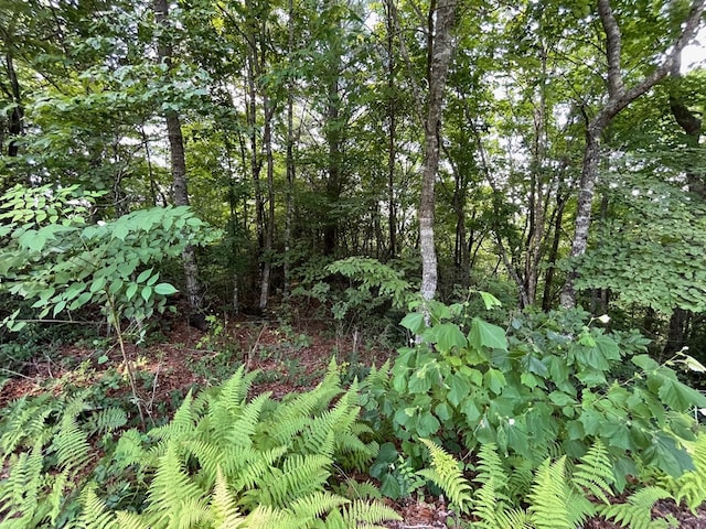 Listing photo 2 for LOT11 Little Cove Ln, Hiawassee GA 30546