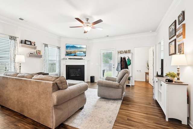 living area featuring crown molding, ceiling fan, a glass covered fireplace, dark wood-type flooring, and visible vents