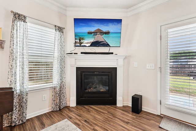 details featuring a glass covered fireplace, baseboards, ornamental molding, and wood finished floors