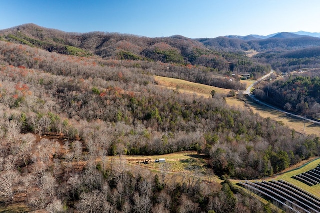 view of mountain feature featuring a rural view