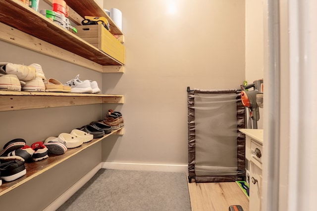 365 Quarles Ln, Ellijay, GA 30540 - view of walk in closet