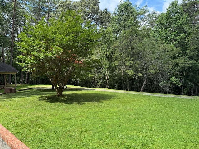 365 Quarles Ln, Ellijay, GA 30540 - view of grassy yard featuring a gazebo