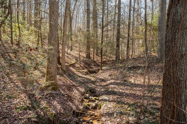 view of nature with a wooded view