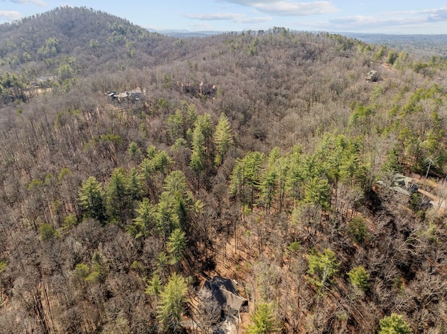 bird's eye view featuring a mountain view and a view of trees