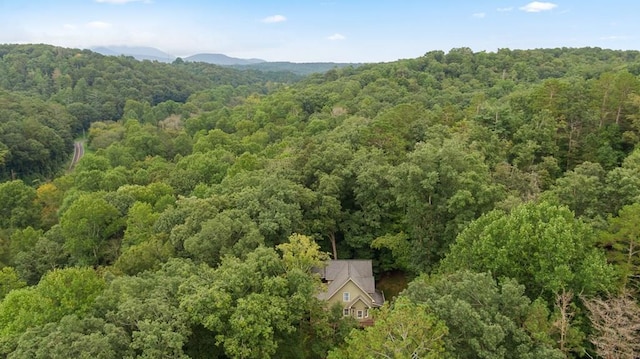 615 Navaho Way, Ellijay, GA 30540 - aerial overview of property's location featuring a heavily wooded area