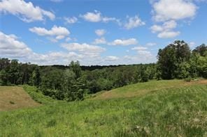 Listing photo 3 for 0 Parksbrook Rd, Ellijay GA 30540