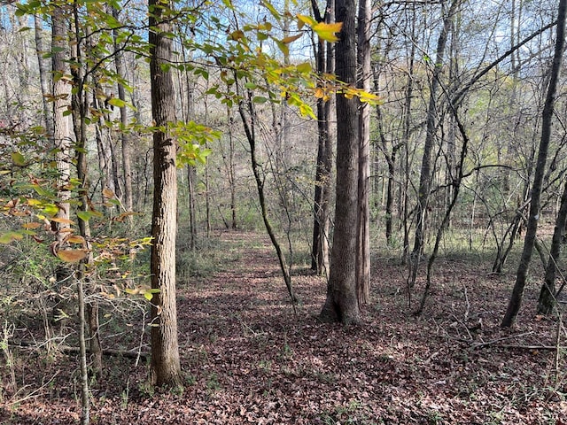0 Dickson Dr, Danielsville, GA 30633