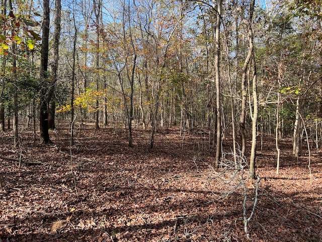 0 Dickson Dr, Danielsville, GA 30633