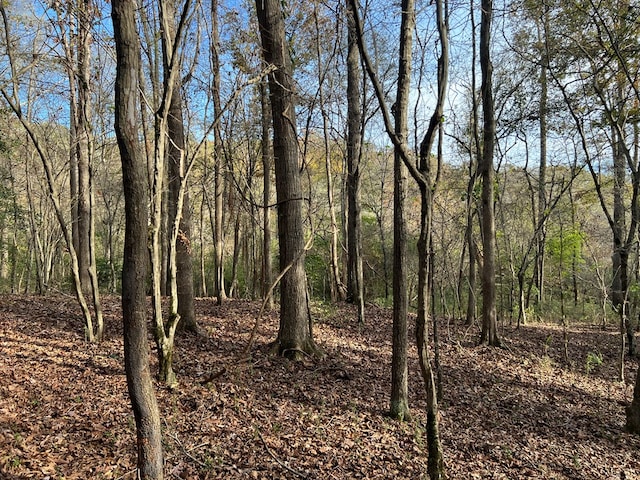 0 Dickson Dr, Danielsville, GA 30633