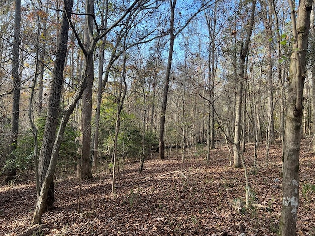 0 Dickson Dr, Danielsville, GA 30633