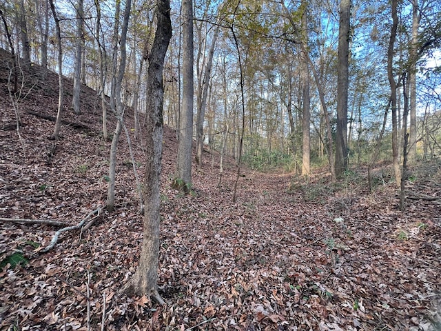 0 Dickson Dr, Danielsville, GA 30633